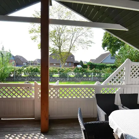 Seestern Friedrichskoog-Spitze