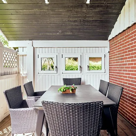 Seestern Friedrichskoog-Spitze