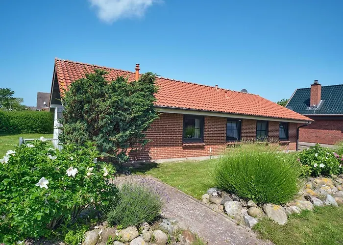 Seestern * Friedrichskoog-Spitze