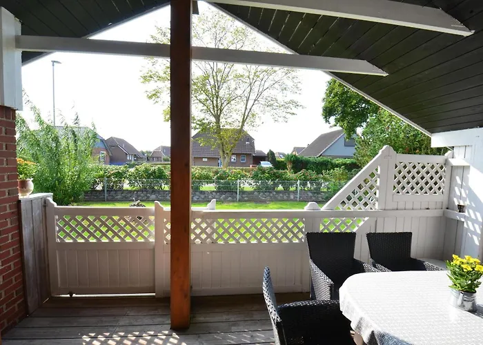 Seestern Friedrichskoog-Spitze