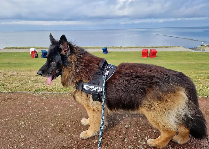 Seestern Casa vacanze